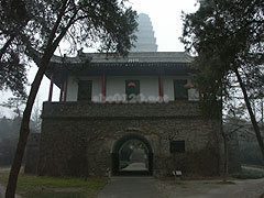 義浄